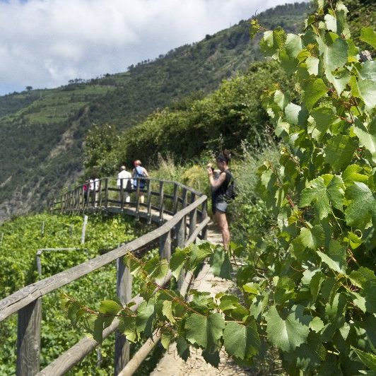 Parco Cinque Terre vicino Hotel Cavi di Lavagna