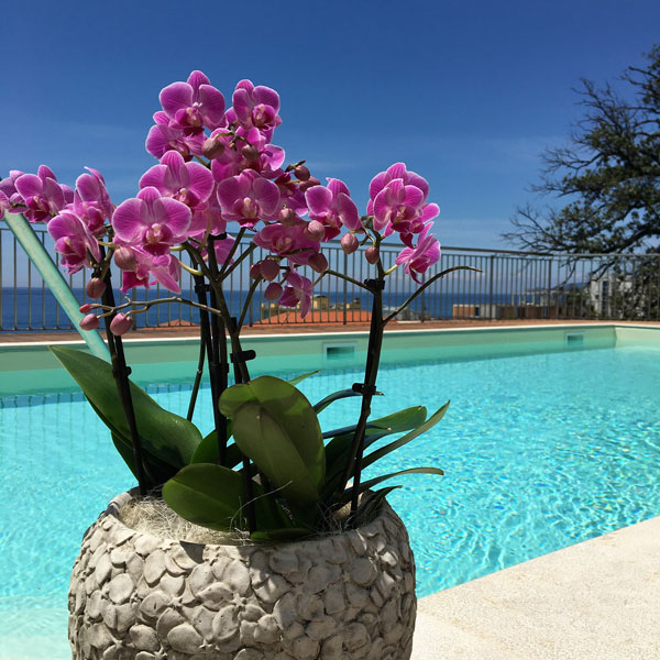 Hotel Cavi di Lavagna con piscina vista mare